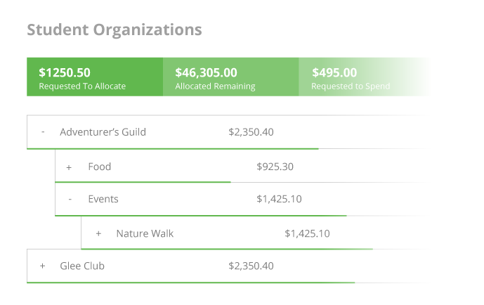 Individualized Budgets